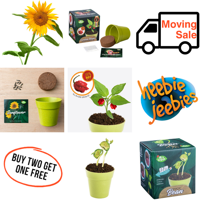 Plant Kits Moving Sale Pack